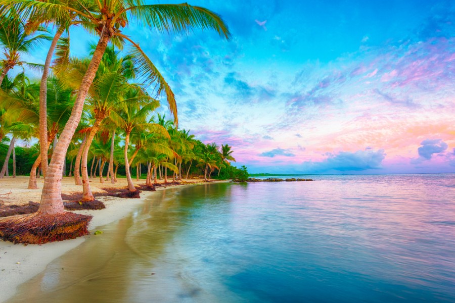 Plage de Guadeloupe : où aller se baigner sur cette île paradisiaque ?