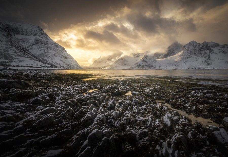 Quelle est la période idéale pour visiter les fjords de Norvège ?