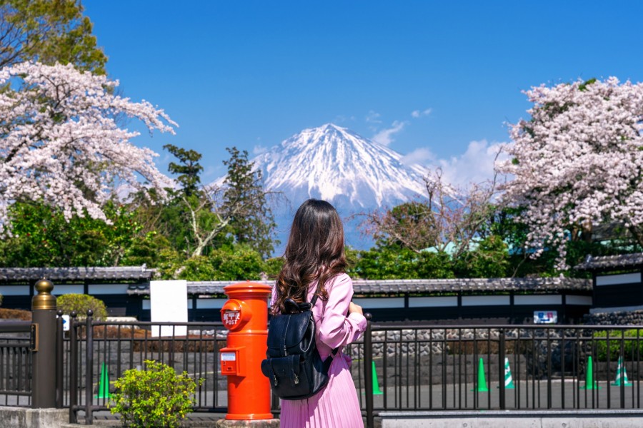 Quel budget prévoir pour un voyage au Japon ?