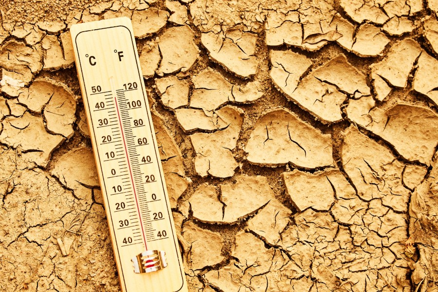 Comment la canicule affecte-t-elle le pays le plus chaud du monde ?