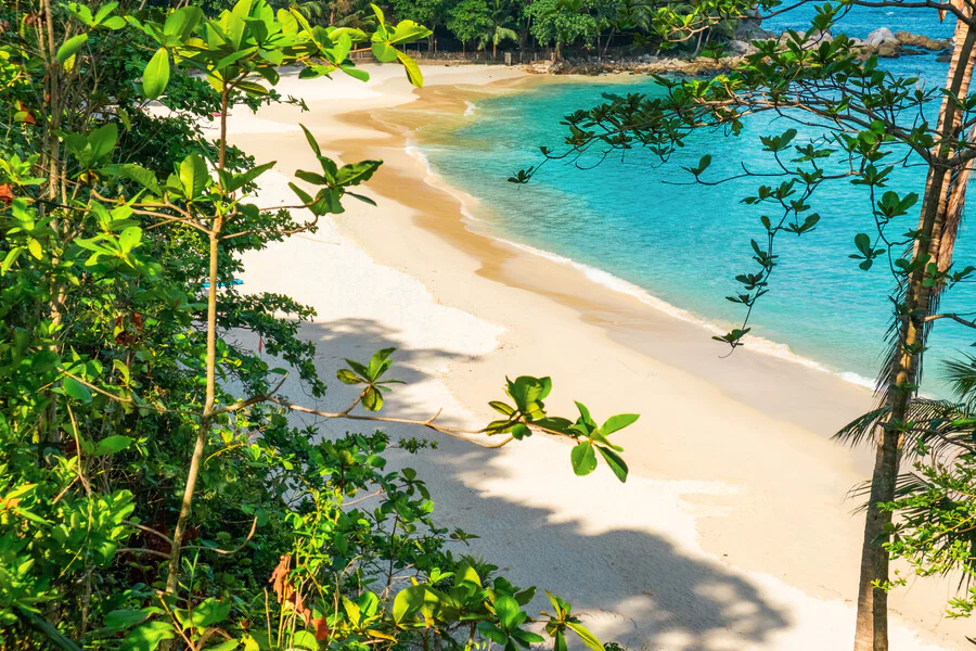 Pourquoi Mayotte est-elle une destination de rêve pour les amateurs de plage ?