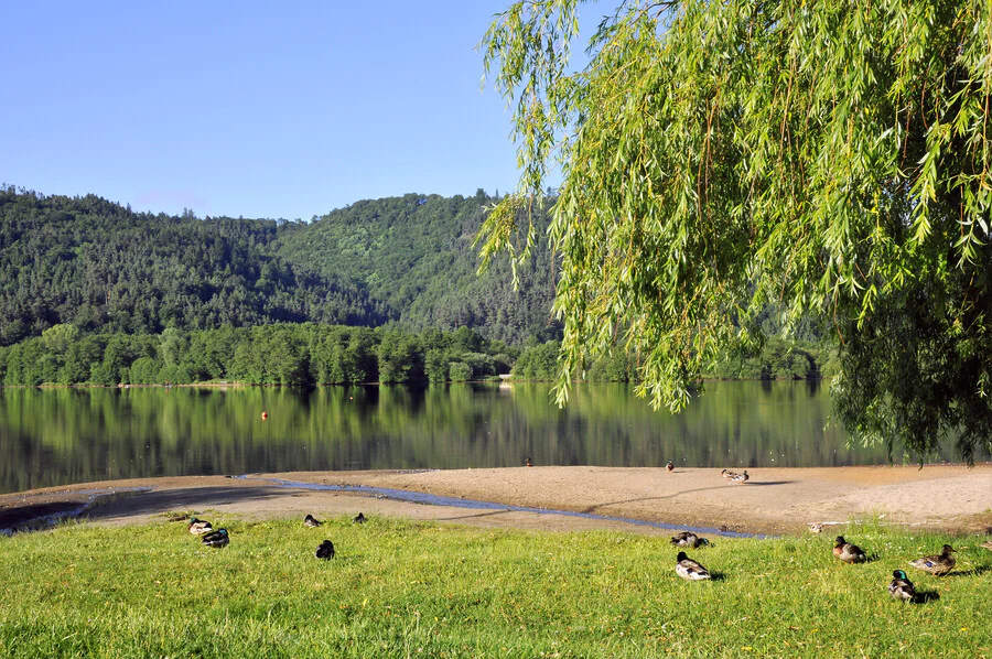 Quel est le meilleur moyen de se déplacer en Auvergne pour un week-end ?