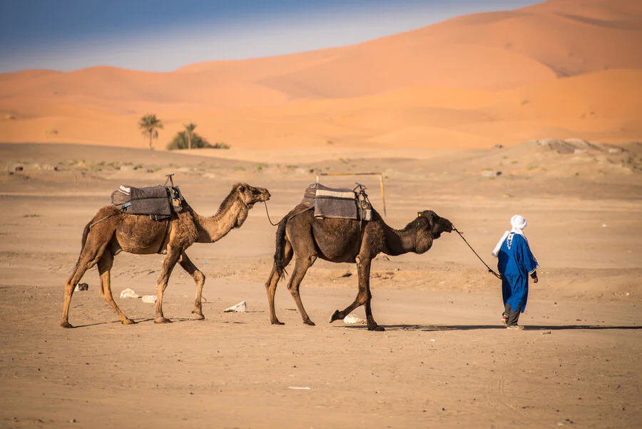 Quelles sont les activités à faire au Maroc ?