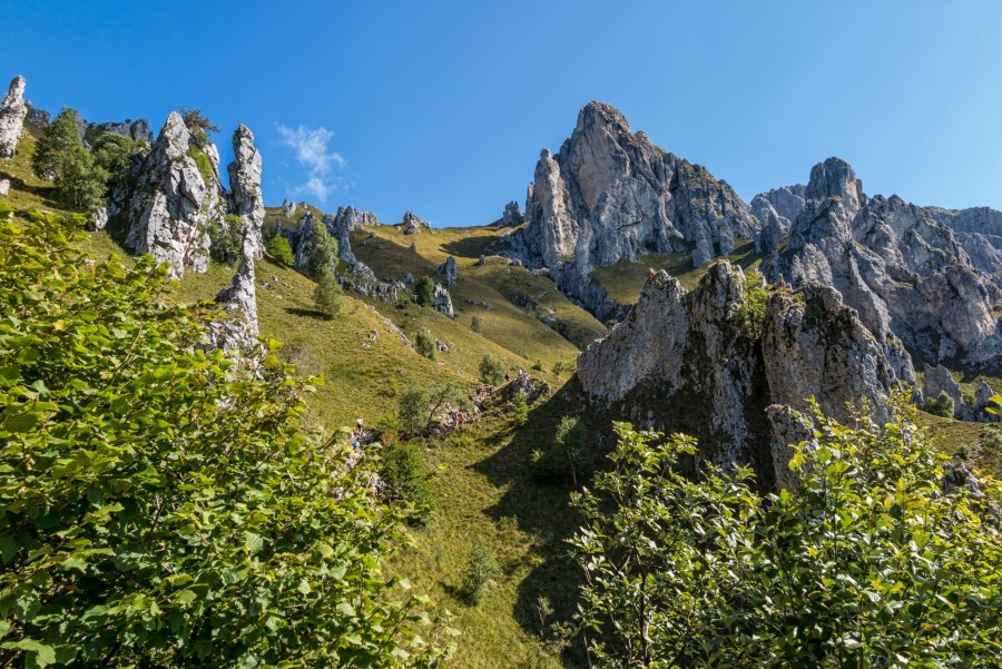 Quelles sont les espèces de faune et de flore présentes dans le massif de la Chartreuse ?