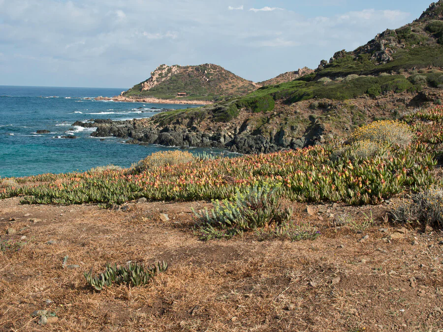 Quelles sont les règles à respecter pour le camping sauvage en Corse ?