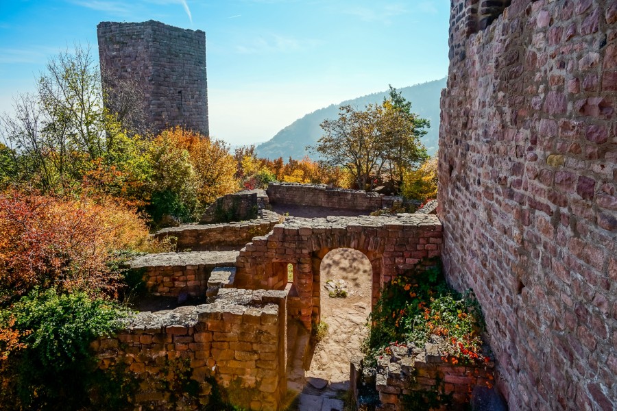 Quels sont les plus beaux châteaux forts à découvrir en Alsace ?