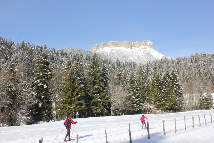 Quels sont les points d'intérêt à visiter dans le massif de la Chartreuse ?