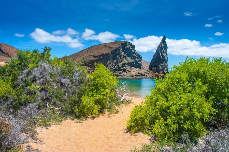 Qu'est-ce que l'île des Galapagos et où est-elle située ?