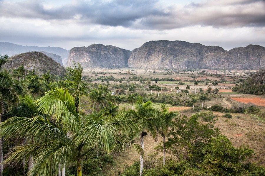 Pourquoi Vinales est-elle une destination incontournable à Cuba ?